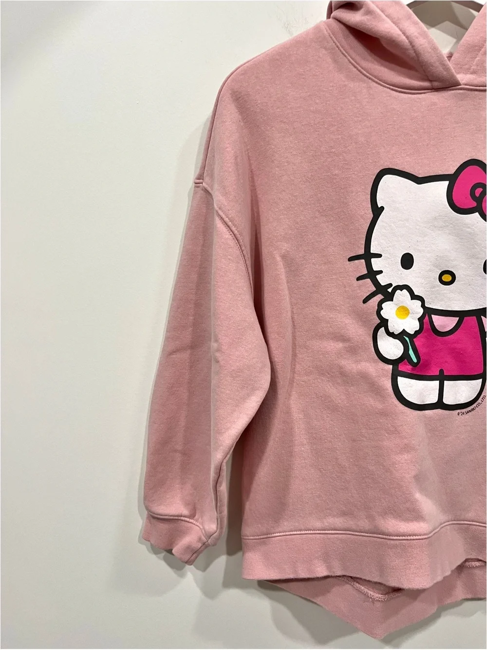 Hello Kitty x GAP Girls Pink Fleece Lined Hoodie Sweatshirt XL (12)